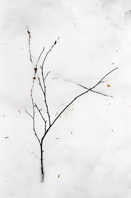 Gestural minimalism - 035 ST