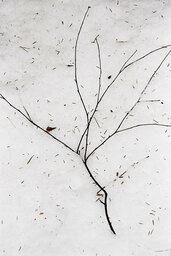 Gestural minimalism - 037 ST