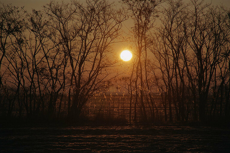 Landscape - 010 AL