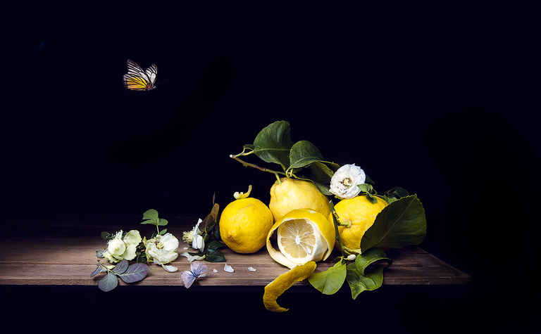 Natura morta con limoni e farfalle