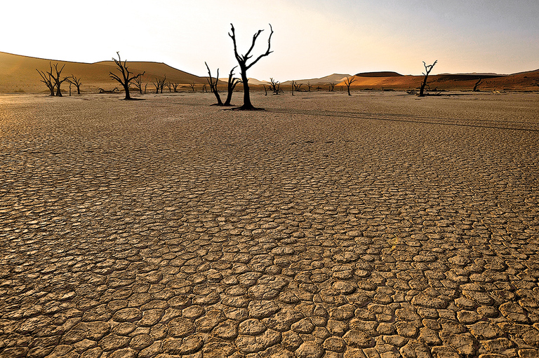Dry Dancers in the Desert