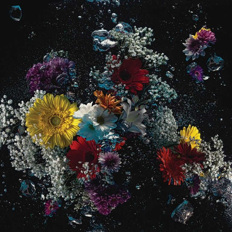 Flowers in the dark #01