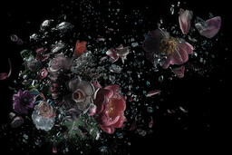 Flowers in the dark #09